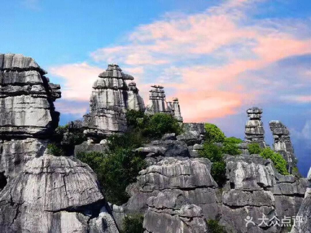 Stone Forest Mijia Guest House Shilin Exteriör bild