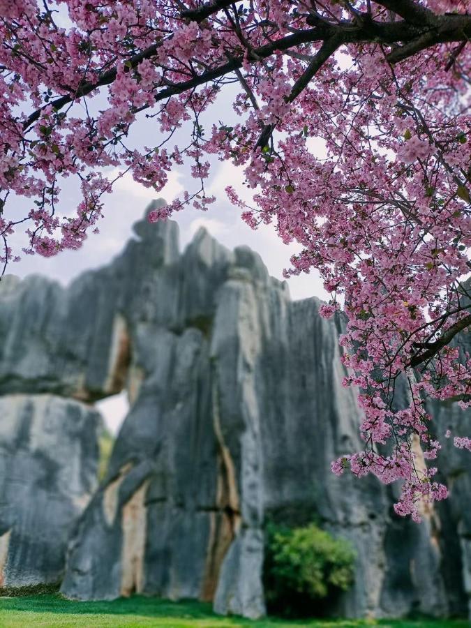 Stone Forest Mijia Guest House Shilin Exteriör bild